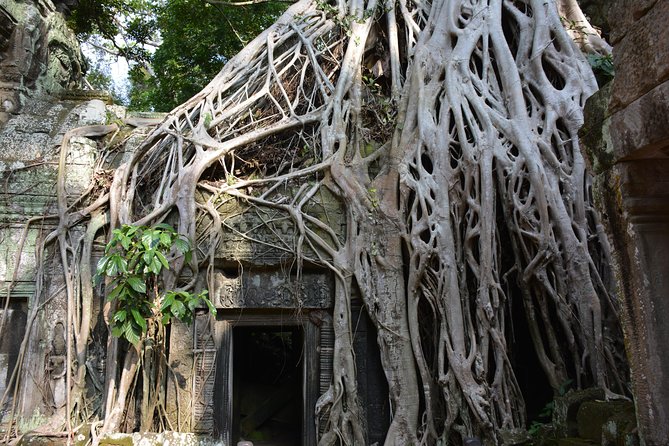 2-Day Angkor Wat Tour from Bangkok - Is this tour for you? Best-fit traveler profiles