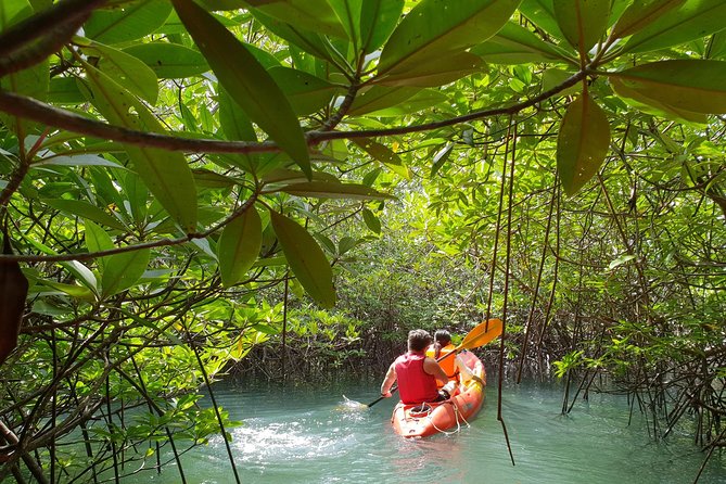 4-Waters Eco-Adventure Trip from Phuket Including Lunch - Price and logistics: is $119.03 really a good deal?