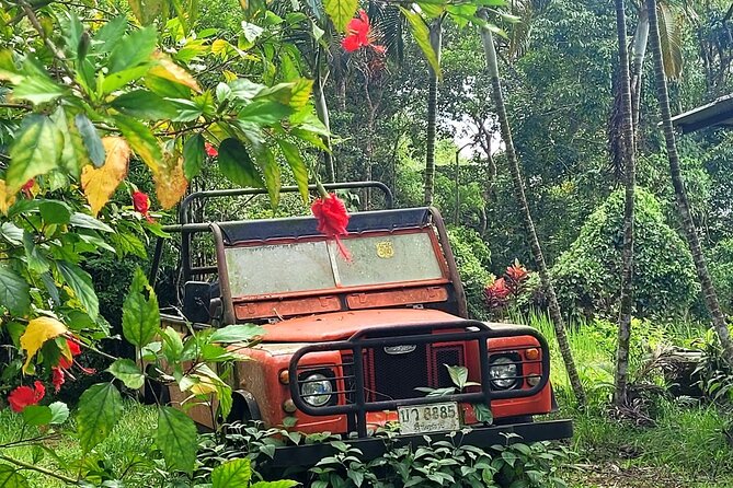6 Hours Off-Road 4x4 Hidden Gem Adventure 1 - 8 People - Why This Private 4x4 Day Beats the Usual Samui Circuits