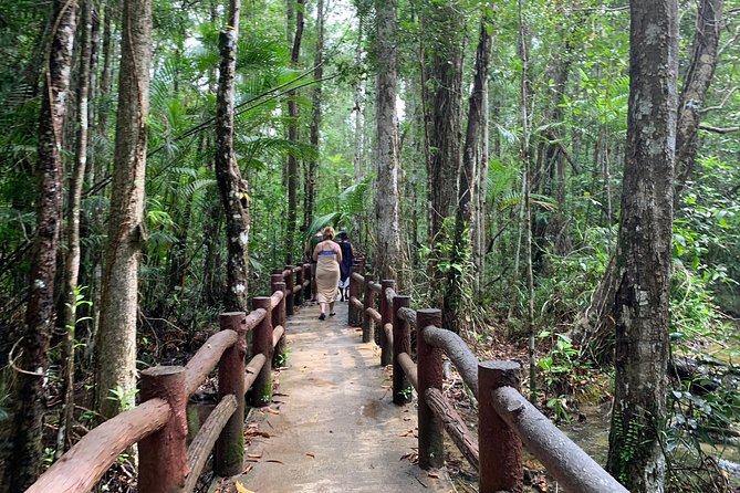 All day Krabi Jungle Tour (Hot Spring Water, Emerald Pool, Tiger Cave Temple) - The 8:00 AM start and pickup zones that keep things smooth
