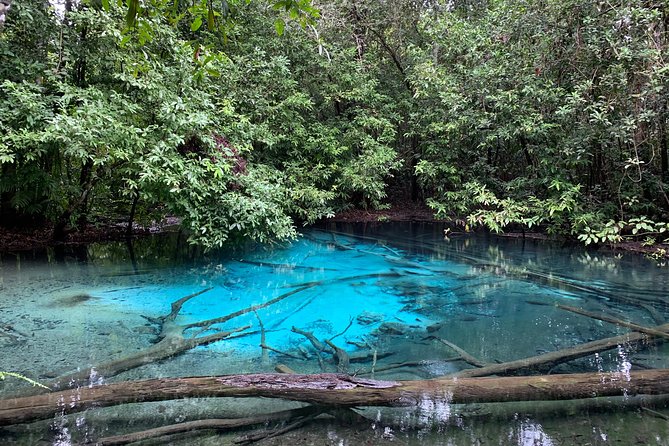 All day Krabi Jungle Tour (Hot Spring Water, Emerald Pool, Tiger Cave Temple) - Stop 2: Emerald Pool (Sa Morakot) rainforest walk and a real swim