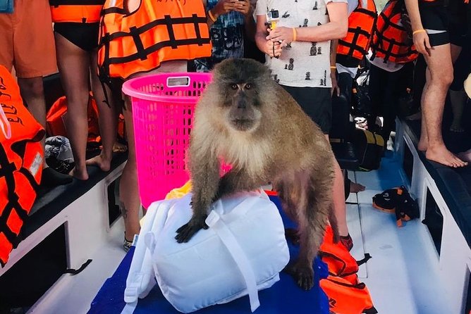 All-in Phi Phi, Maiton, MayaBay, Khai, Bamboo islands Tour - Getting to the private pier: transfers without the drama