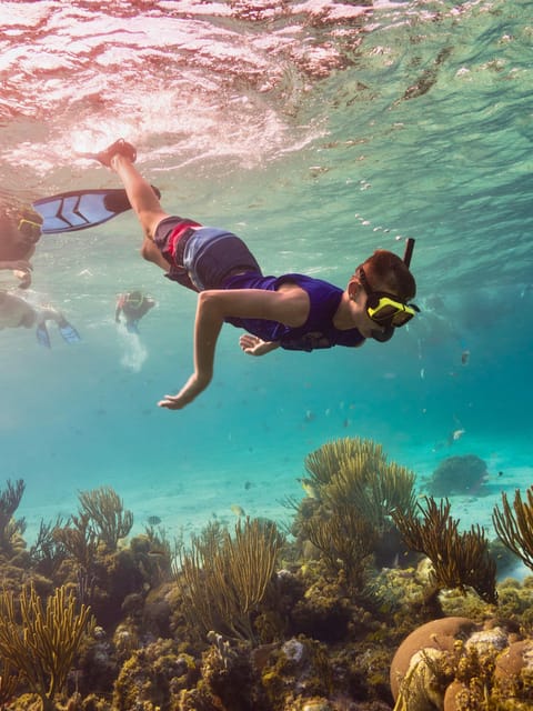 Ao Nang: 4 Islands Day Tour by Speedboat or Longtail Boat - Snorkeling reality check: gear included, but conditions vary