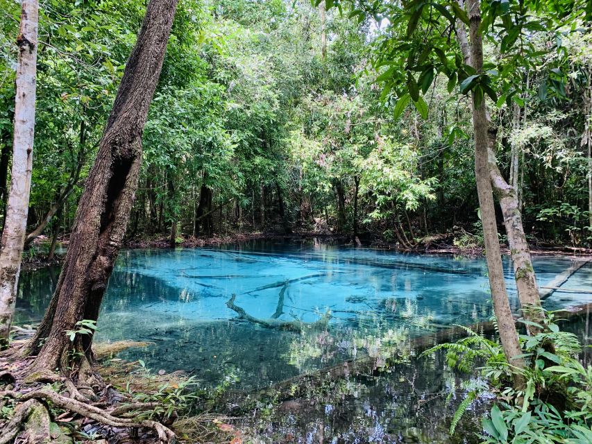 Ao Nang: Hot Spring, Emerald Pool & Tiger Cave Temple Tour - Tiger Cave Temple: meditation center, 1,260 steps, and the hilltop reward