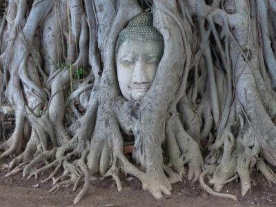 Bangkok: Ayutthaya & Local Market Tour In Spanish or English - Pick-up and traffic: the first test of your day