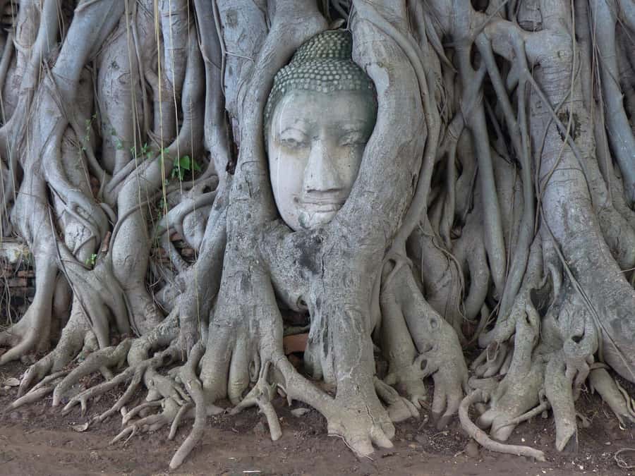 Bangkok: Ayutthaya & Local Market Tour In Spanish or English - Pick-up and traffic: the first test of your day