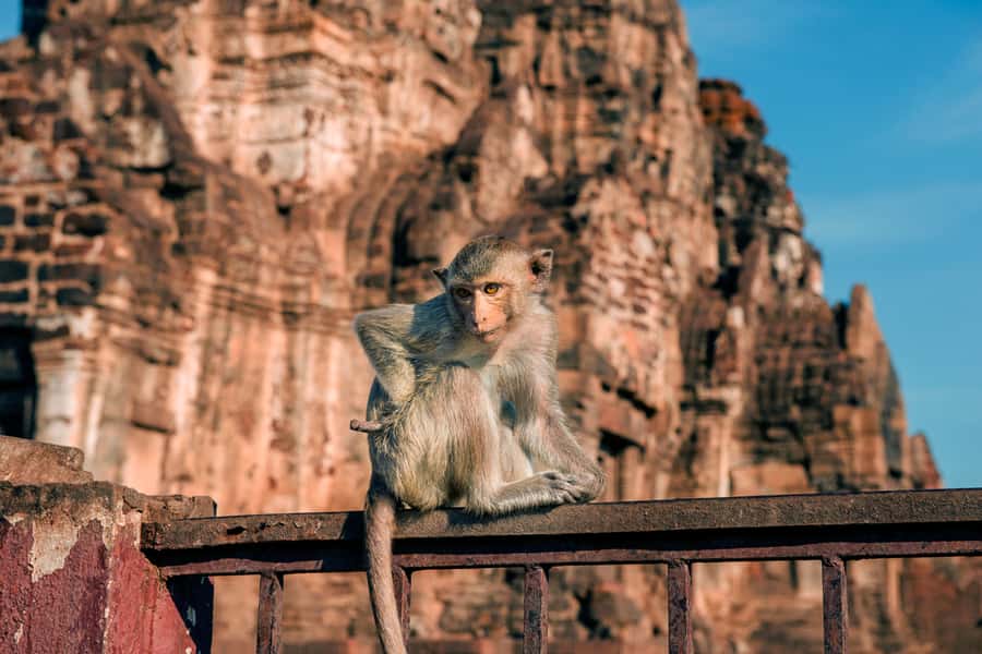 Bangkok: Ayutthaya & Lopburi Monkey Temple Private Day Trip - Wat Phra Si Sanphet: the palace-temple core of Siam
