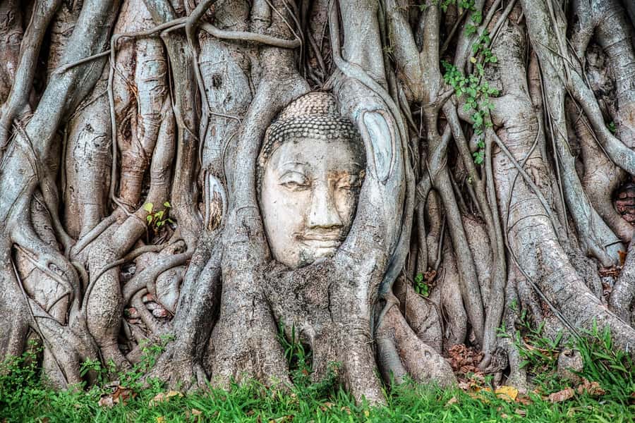 Bangkok: Ayutthaya & Lopburi Monkey Temple Private Day Trip - Wihan Phra Mongkhon Bopit: see one of Thailand’s largest bronze Buddhas