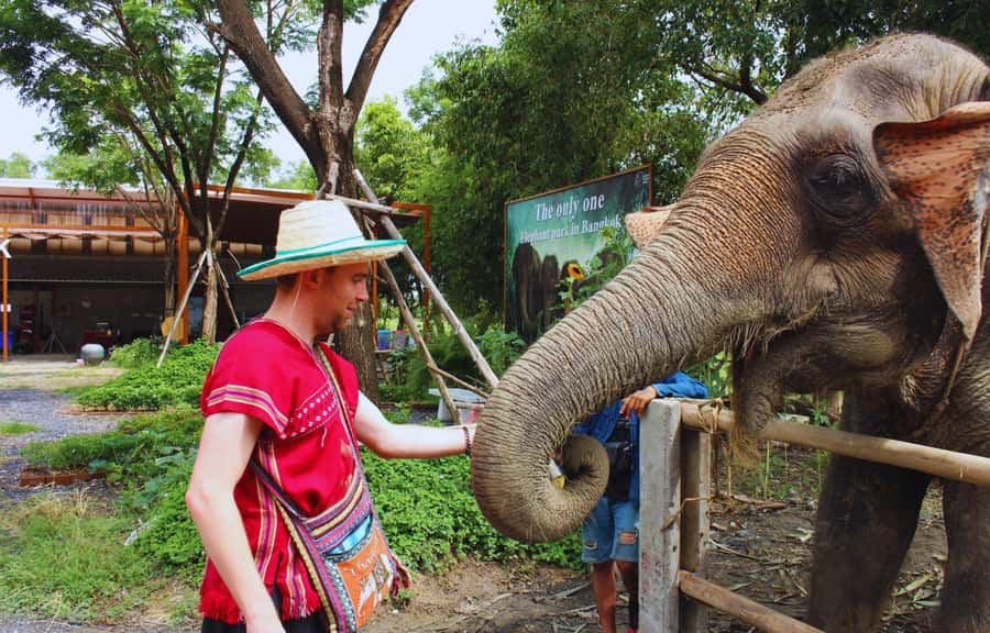 Bangkok: Ethical Elephant Care Half-Day with Transfers - Ethical Elephant Care from Bangkok, Without the Cheap Tricks