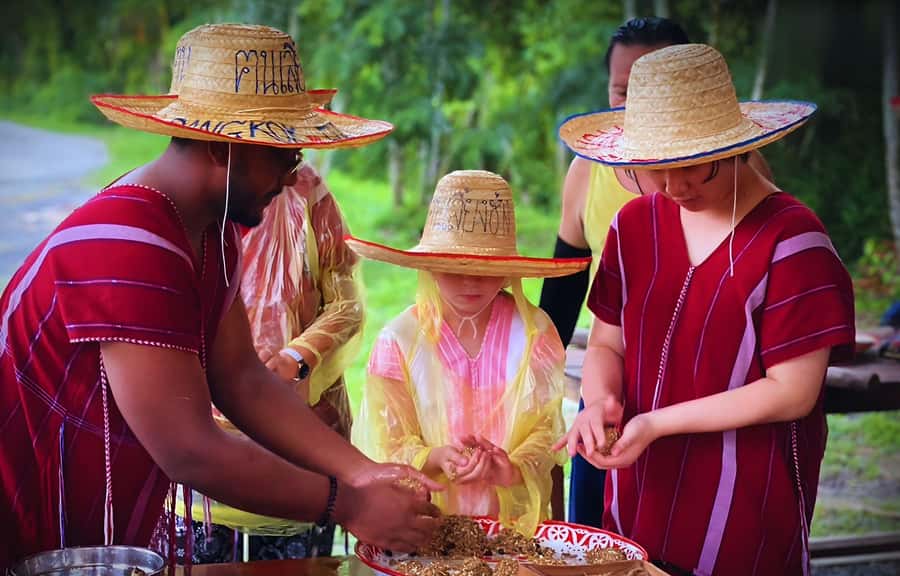 Bangkok: Ethical Elephant Care Half-Day with Transfers - Who This Tour Is Best For (and Who Might Want a Different Option)