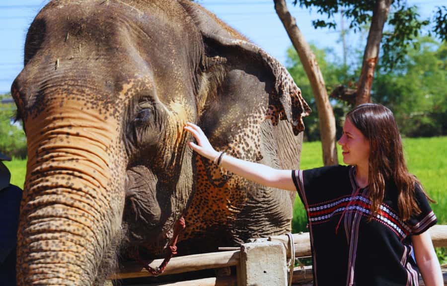 Bangkok: Ethical Elephant Care Half-Day with Transfers - Getting to Chachoengsao Province: Pickup That Keeps the Day Moving