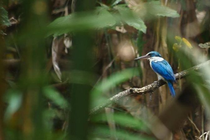 Bangkok Jungle Bike Tour - Hotel-pickup & Lunch - What to Watch For: Heat, Narrow Paths, and Plastic in Water