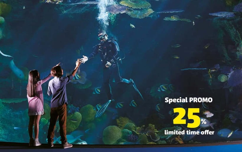 Bangkok: SEA LIFE Bangkok Ocean World Entry Ticket - SEA LIFE Bangkok Ocean World in Siam Paragon: your timing superpower