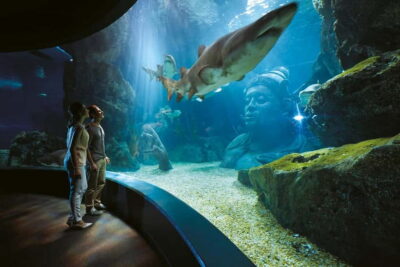 Bangkok: SEA LIFE Bangkok Ocean World Entry Ticket - Entering the aquarium: where to start and how to avoid “I rushed it”