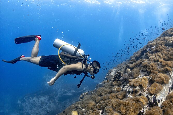 Basic Diver ( One Day Experience) - Key Highlights You’ll Feel on the Day