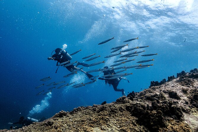 Basic Diver ( One Day Experience) - Meeting at Koh Tao Scuba Club and Getting Your Day Started Right