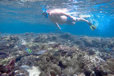 Best of Phi Phi Islands Snorkeling Tour from Phuket - Royal Phuket Marina to Bamboo Island: Your Morning Routine on Island Time