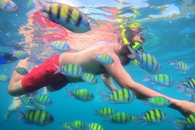 Best of Phi Phi Islands Snorkeling Tour from Phuket - Ko Phi Phi Don Lunch: A Proper Break on Phi Phi Don