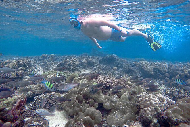 Best of Phi Phi Islands Snorkeling Tour from Phuket - Royal Phuket Marina to Bamboo Island: Your Morning Routine on Island Time