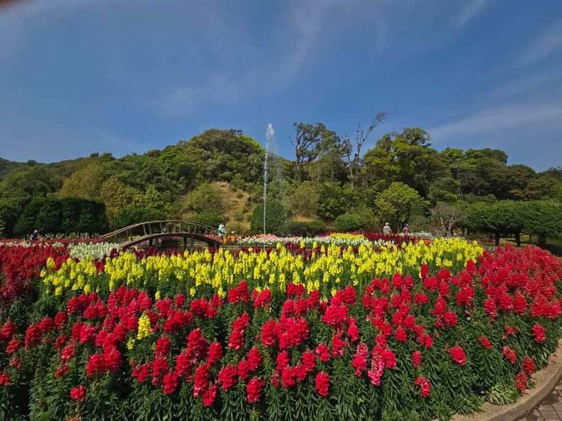 Chang Mai: Doi Inthanon Day Tour w/Waterfalls & Hilltribes - Who Should Book This Doi Inthanon Day Tour