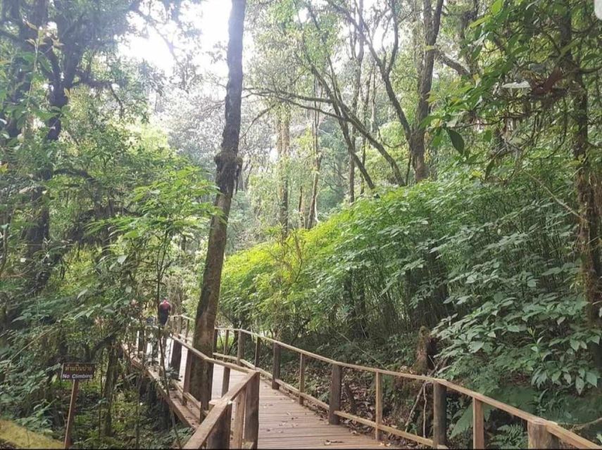 Chang Mai: Doi Inthanon Day Tour w/Waterfalls & Hilltribes - Ascending Thailand’s Highest Peak and Walking the Ang Ga Trail