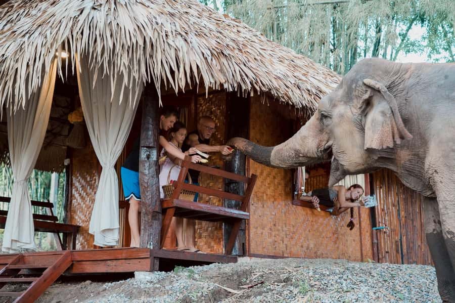Chiang Mai 2-Day: Good Morning Elephant & Overnight Homestay - Mae Wang Valley: why this timing and location matters