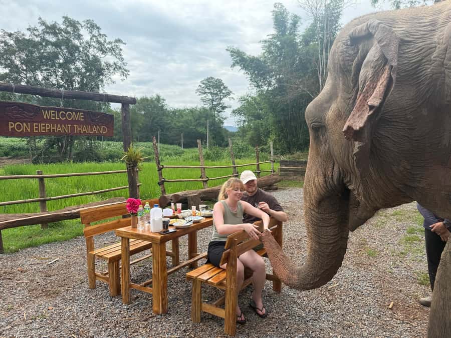 Chiang Mai 2-Day: Good Morning Elephant & Overnight Homestay - The homestay dinner: cooking with your guide and eating in the forest