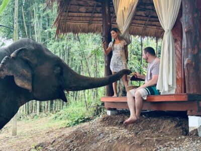 Chiang Mai 2-Day: Good Morning Elephant & Overnight Homestay - Day 1 afternoon: pickup, the Mae Wang Valley drive, and first sanctuary contact