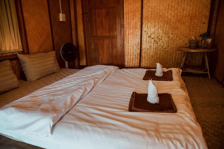 Chiang Mai 2-Day: Good Morning Elephant & Overnight Homestay - Overnight stay: cabins or tents and the sounds of the forest