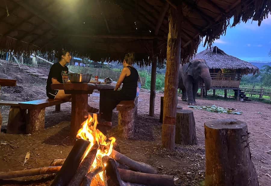 Chiang Mai 2-Day: Good Morning Elephant & Overnight Homestay - Mae Wang Waterfall swim, then bamboo rafting on the river