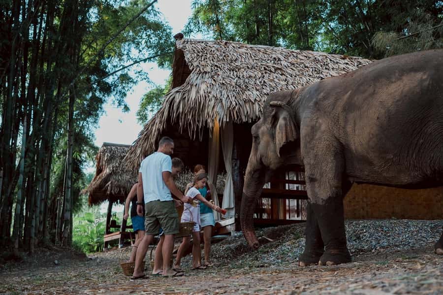 Chiang Mai 2-Day: Good Morning Elephant & Overnight Homestay - What’s actually included (and what you should budget for)