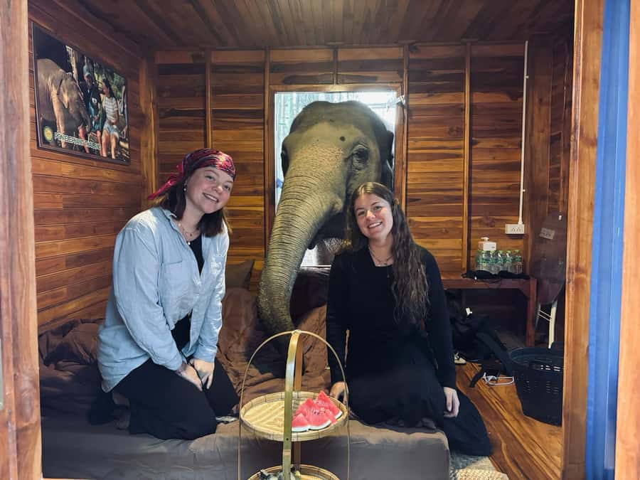 Chiang Mai 2-Day: Good Morning Elephant & Overnight Homestay - Price and value: why $128 can be a good deal here