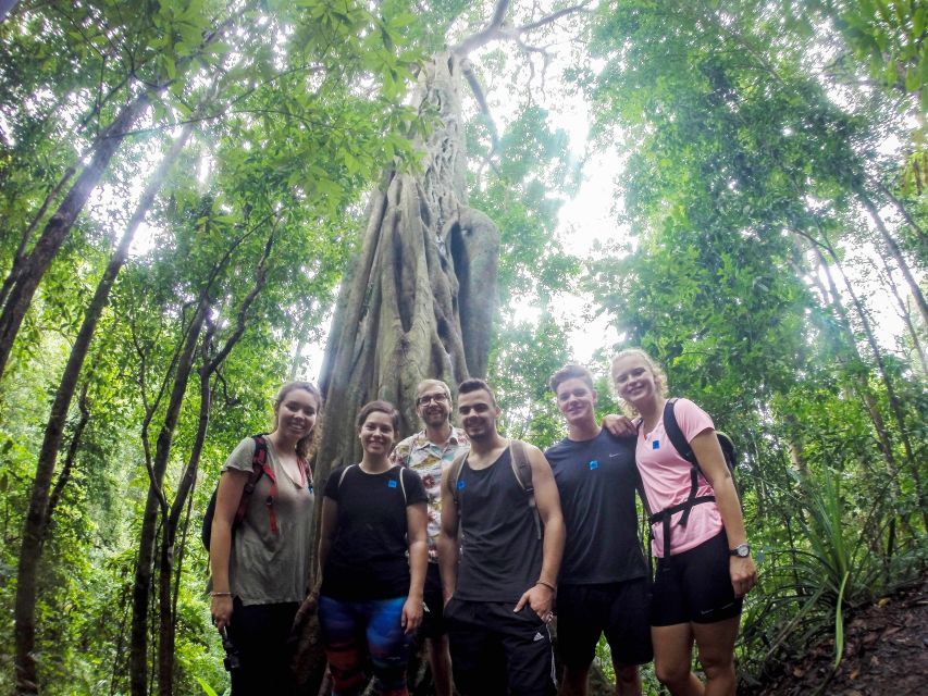 Chiang Mai: 7-Hour Doi Suthep National Park Summit Hiking - Key Highlights You’ll Remember