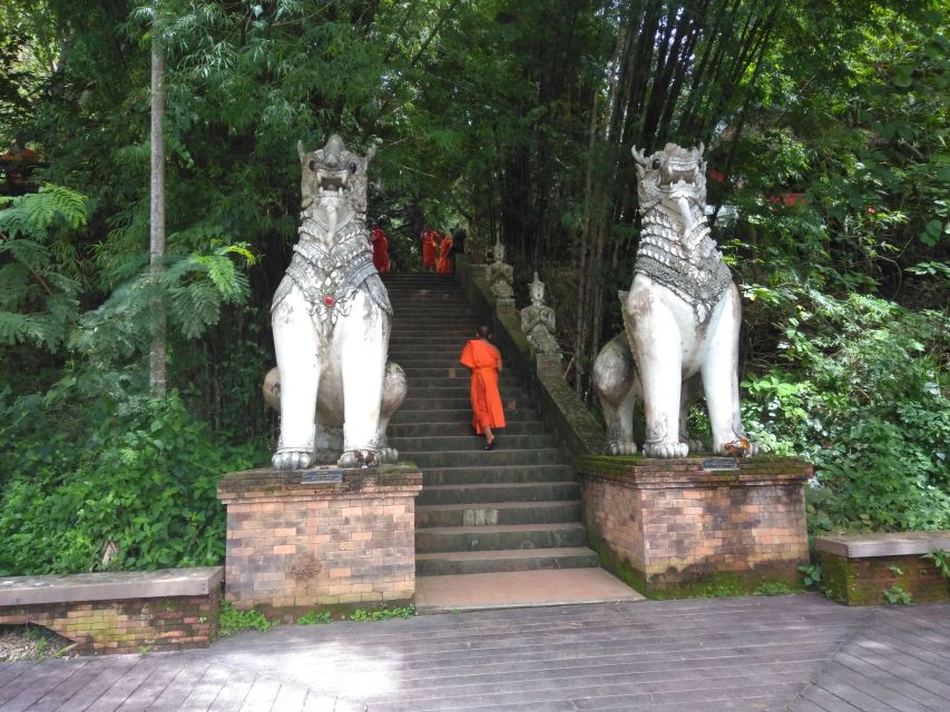 Chiang Mai: 7-Hour Doi Suthep National Park Summit Hiking - Why This Doi Suthep Hike Feels More Like Thailand Than a Checklist