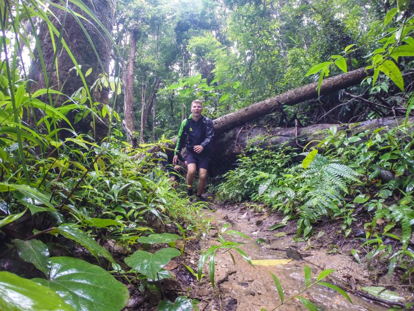 Chiang Mai: 7-Hour Doi Suthep National Park Summit Hiking - Wat Phra That Doi Suthep: The Temple Stop That Actually Helps the Hike
