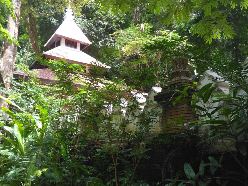 Chiang Mai: 7-Hour Doi Suthep National Park Summit Hiking - Inside Doi Suthep–Pui National Park: The 2.5 Hours That Test Your Feet