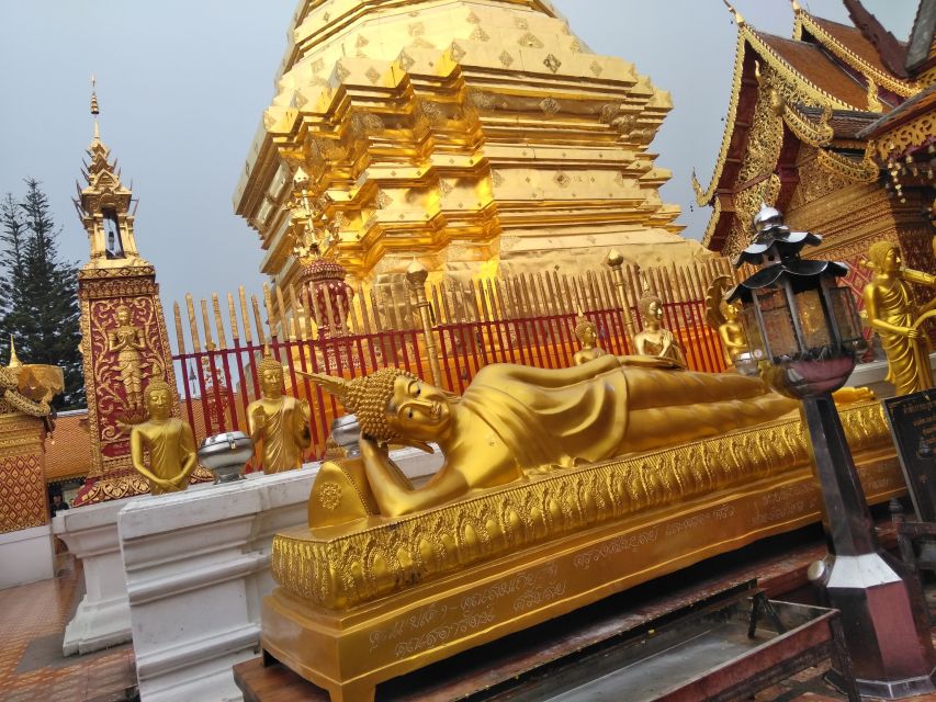 Chiang Mai: 7-Hour Doi Suthep National Park Summit Hiking - Doi Pui Highlands and a Hmong Hill-Tribe Village Stop