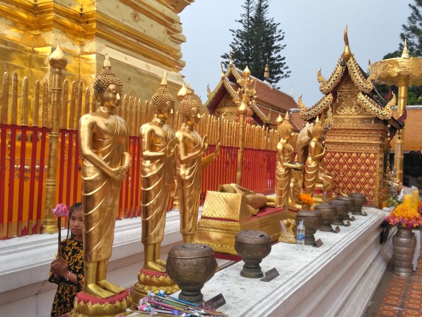 Chiang Mai: 7-Hour Doi Suthep National Park Summit Hiking - Lunch Timing: Good Food, But Don’t Plan on It Being Early