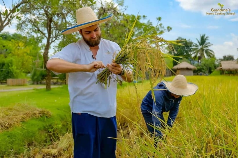 Chiang Mai: Authentic Thai Cooking Class and Farm Visit - Half-day vs full-day: when coconut milk grating becomes the star