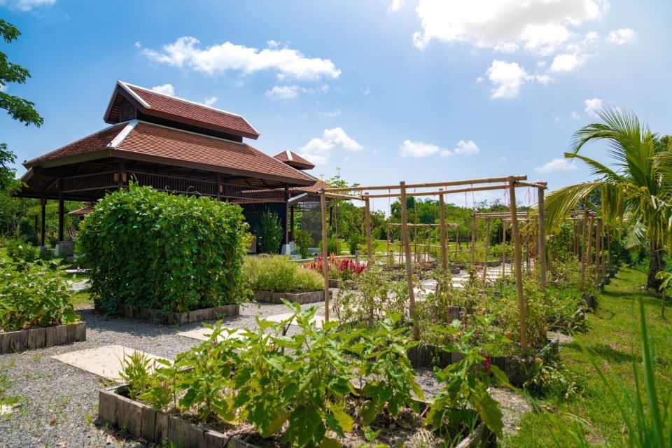 Chiang Mai: Authentic Thai Cooking Class and Farm Visit - The farm stop: vegetables, eggs, and Thai herb context