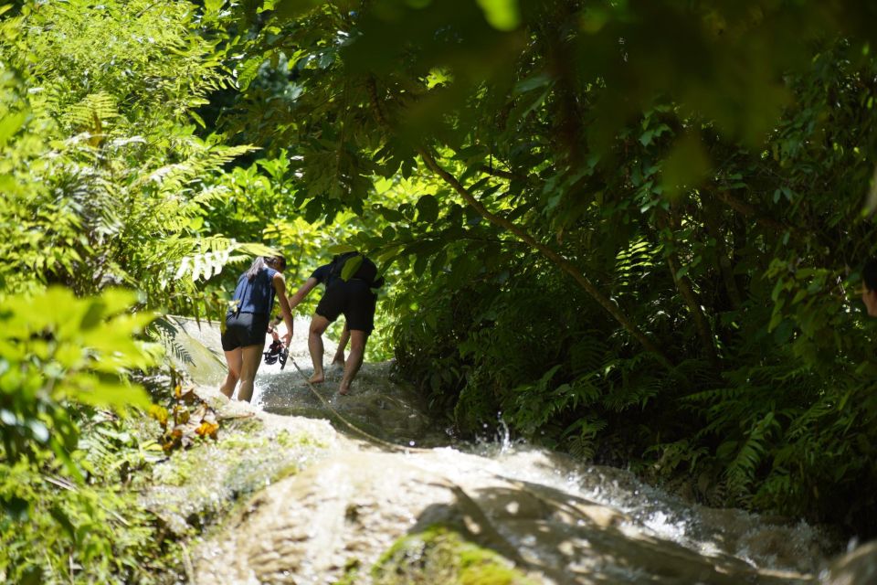 Chiang Mai: Bua Thong Sticky Waterfall and Huge Cave Tour - Picnic Lunch and Seasonal Fruit: The Pause That Makes the Day Work