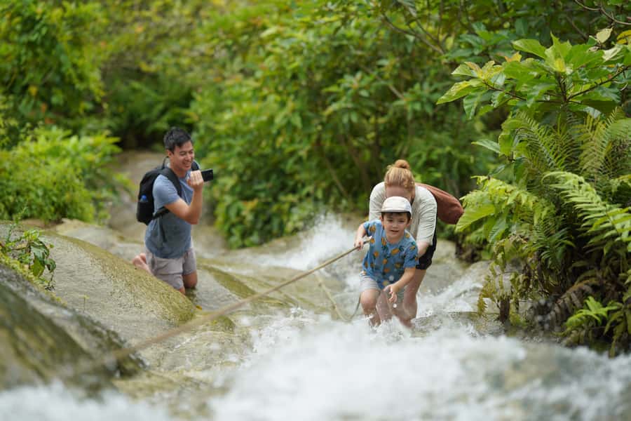 Chiang Mai: Bua Thong Sticky Waterfall & Huge Cave & Buffet - Bua Tong Cave: stairs, views, and the legend behind the climb