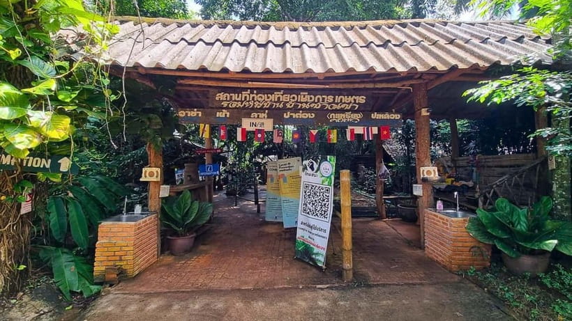 Chiang Mai: Chiang Rai Temples, Golden Triangle & Boat Tour - The Long Neck Karen Village: Option A vs Option B (and what that means)