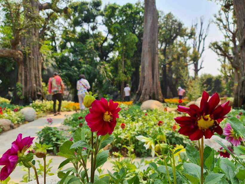 Chiang Mai: Dantewada Land of Angels & Sticky Waterfall Tour - Price and Value: Why This Is Usually a Good Deal
