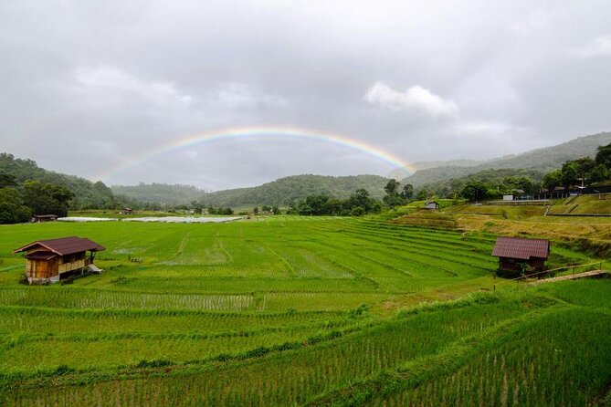 Chiang Mai - Doi Inthanon Full day Tour - Twin Royal Stupas: The King-and-Queen Pagodas and How to Visit Respectfully
