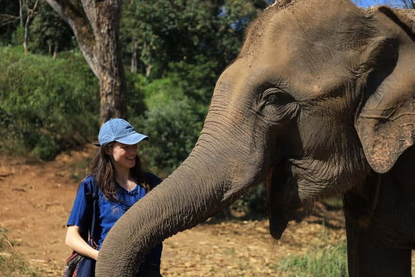 Chiang Mai: Doi Inthanon Hiking & Elephant Sanctuary Program - Key things that make this day worthwhile