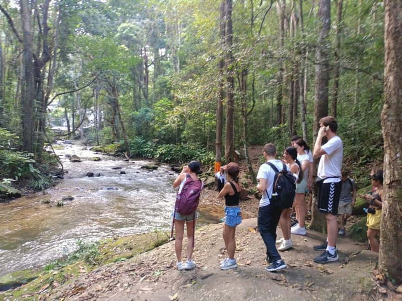 Chiang Mai: Doi Inthanon Hiking & Elephant Sanctuary Program - FAQ