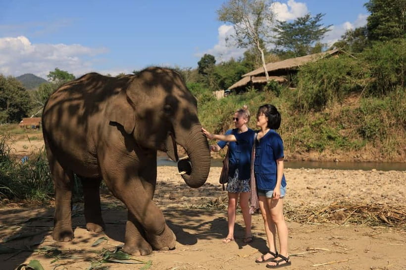 Chiang Mai: Doi Inthanon Hiking & Elephant Sanctuary Program - Pha Dok Siew nature trail: rice terraces, wildlife odds, and waterfall cooling