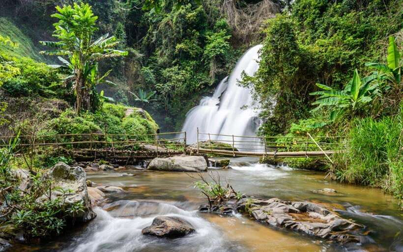 Chiang Mai: Doi Inthanon National Park and Pha Dok Siew Trek - Key highlights to know before you go