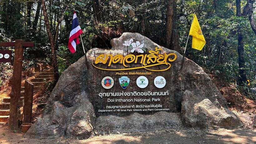 Chiang Mai: Doi Inthanon National Park and Pha Dok Siew Trek - Doi Inthanon National Park: why it feels like a different Thailand day